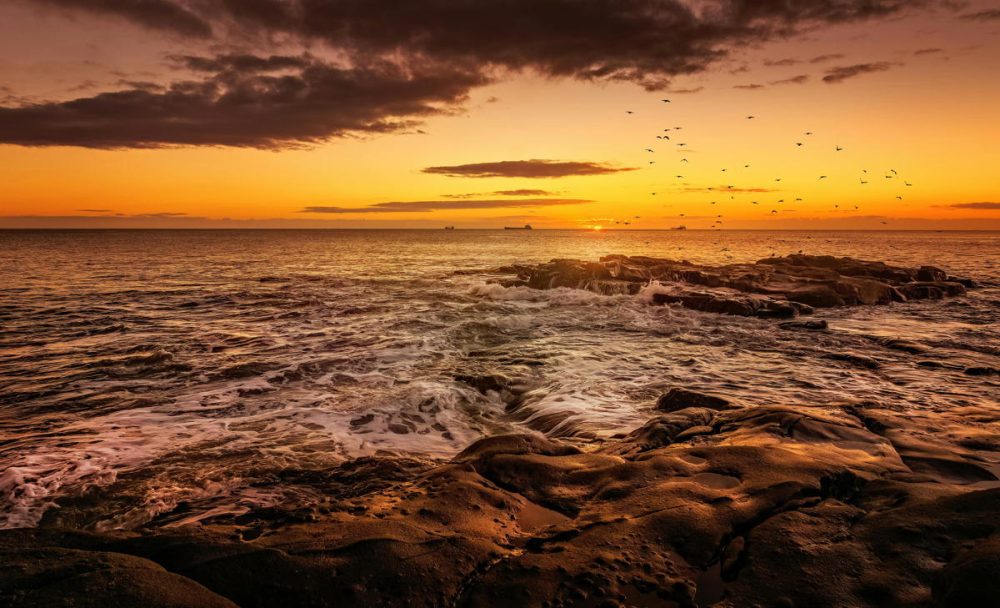 Bookscan 2025: End of the Trail